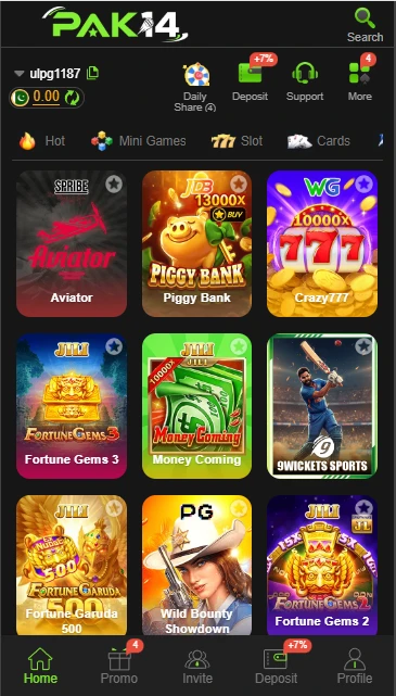Pak14 Game