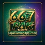 667PAK Game