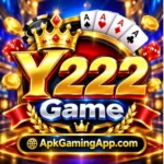 Y222 Game