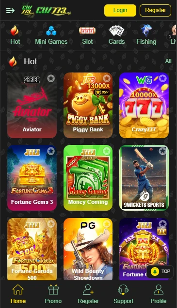 CW773 Game